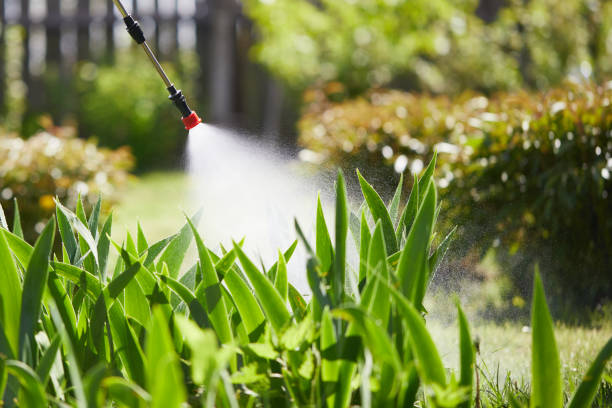24/7 Emergency Ant Control experts in Tyrone, OK