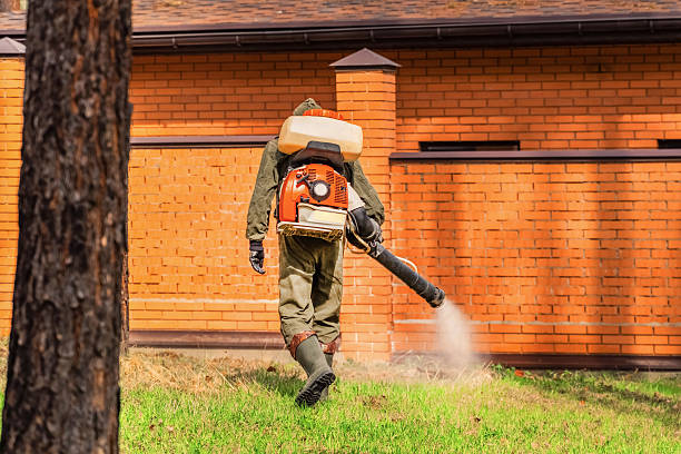 Top rated local Ant Control specialists in Tyrone, OK